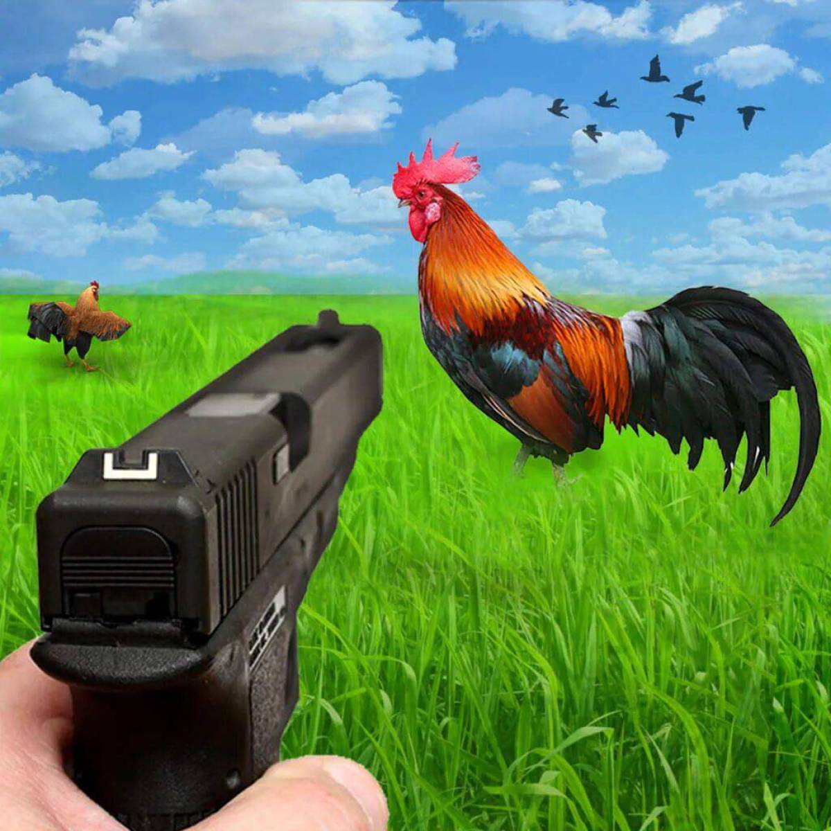 Игру курица чикен ган. Чикен Ган 3.3.0. Чикен Ган 2. Шутер с курицами. Игра курицы стрелялки.