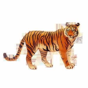 Раскраска тигр для детей #10 #10192
