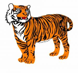 Раскраска тигр для детей #20 #10202