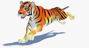 Раскраска тигр для детей #23 #10205