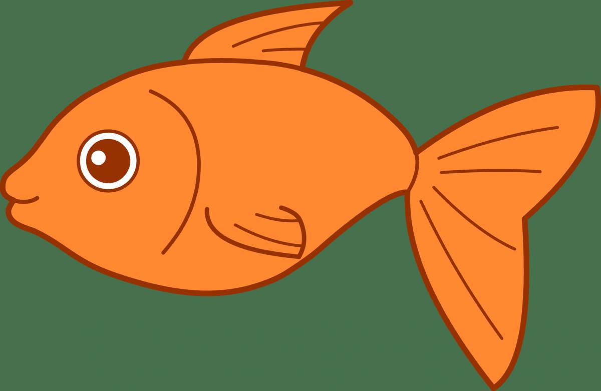 Рыбка для детей #10