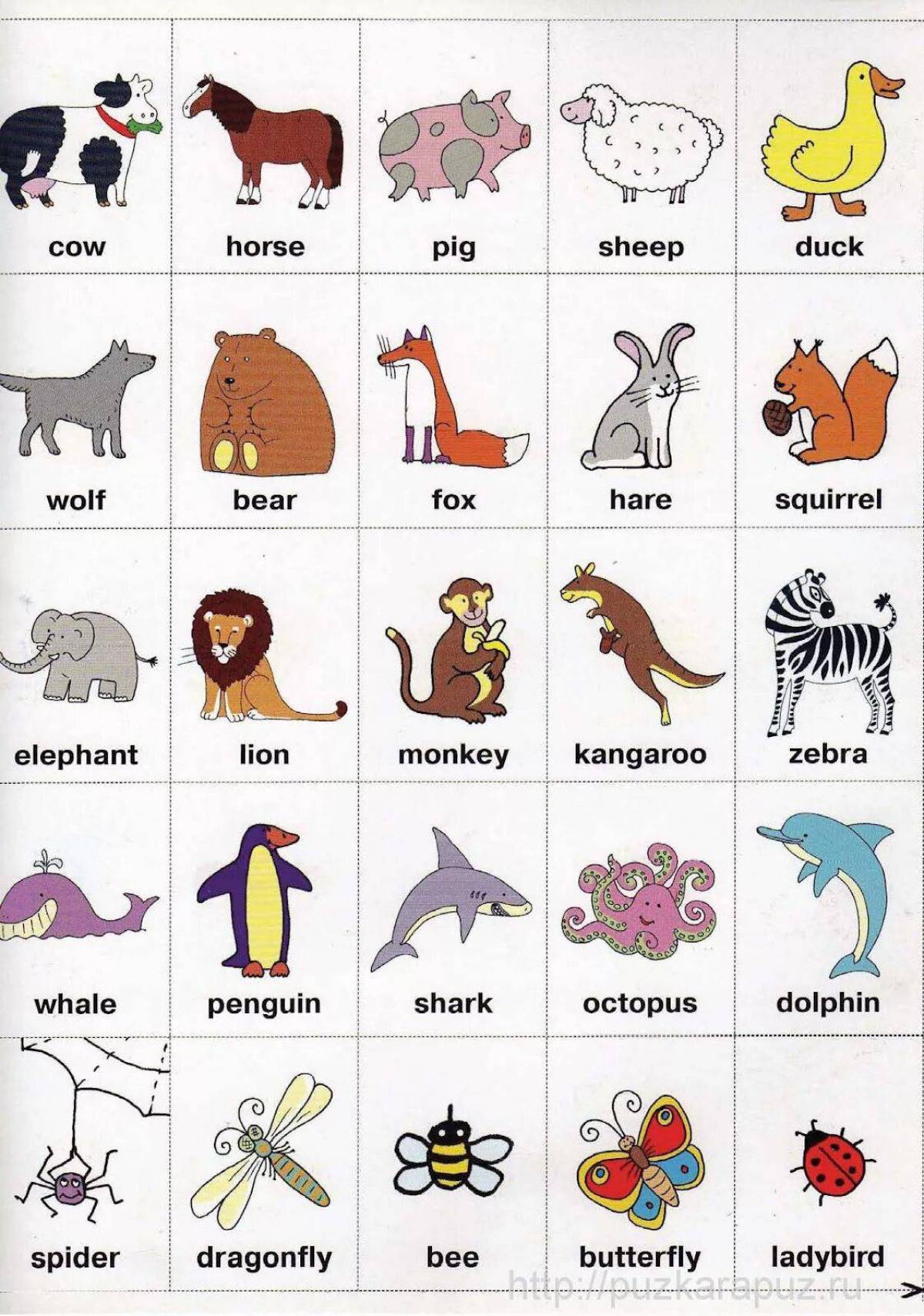Animals translate. Животные на английском. Животные нкаанлийском. Животные на английском для детей. Животрве РП английском.