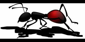 Раскраска муравей для детей #22 #116719