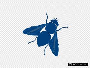 Раскраска муха для детей #5 #116760