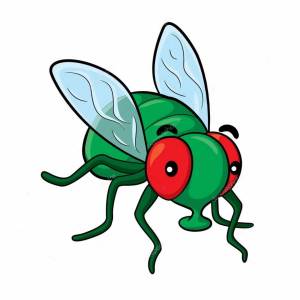 Раскраска муха для детей #14 #116769