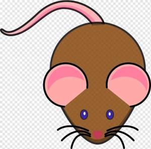 Раскраска мышка для детей #13 #116981