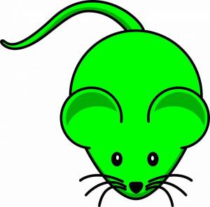 Раскраска мышка для детей #19 #116987