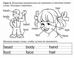 Раскраска на английском языке с заданиями для 2 класса #2 #117506