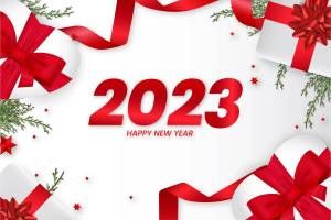 Раскраска на новый год 2023 #3 #117772