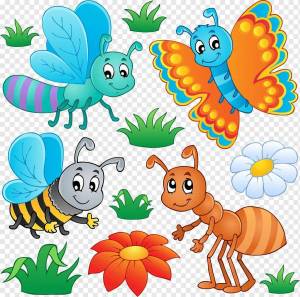 Раскраска насекомые для детей #8 #118945