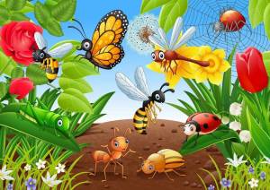 Раскраска насекомые для детей #14 #118951