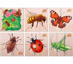 Раскраска насекомые для детей #24 #118961