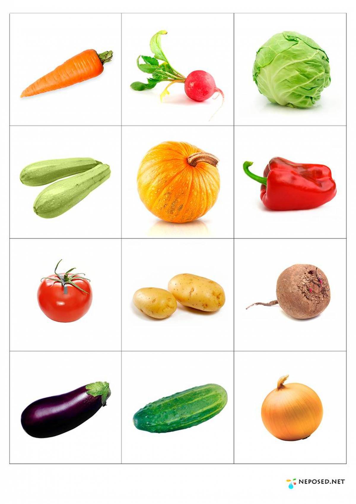 картотека картинок овощи