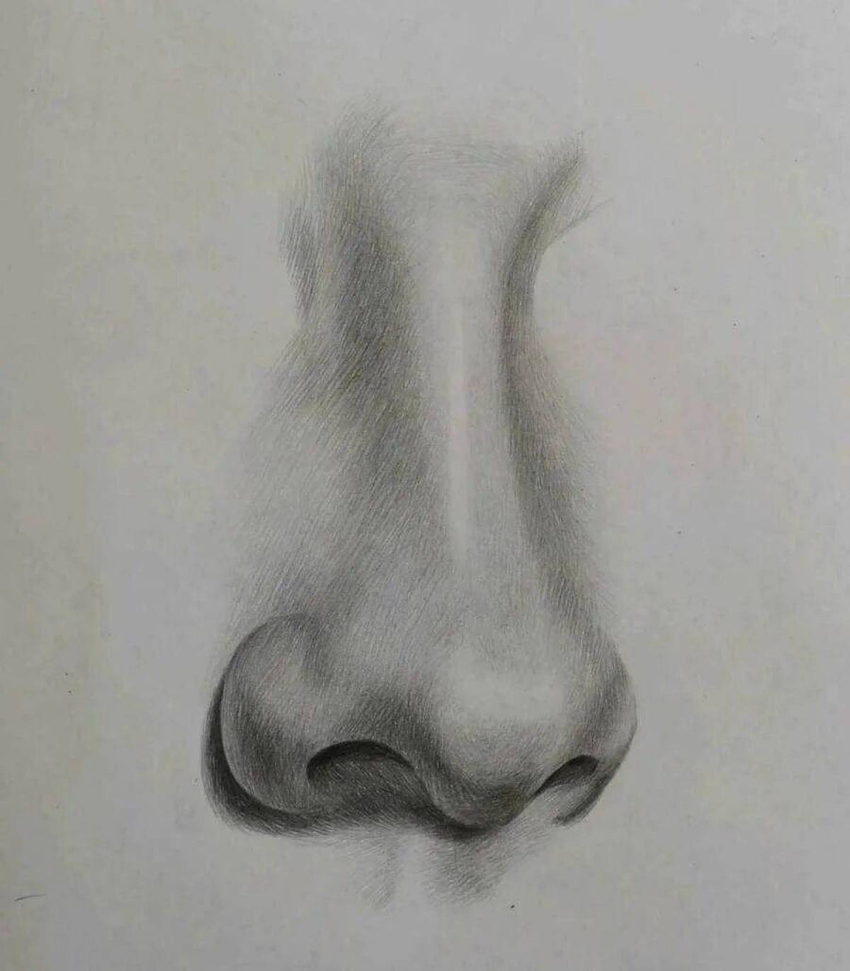 Покажи картинки носа. Нос рисунок. Зарисовки носа. Нос карандашом. Красивый нос карандашом.