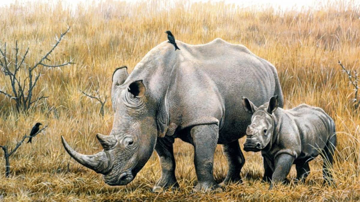 Носорог для детей #31