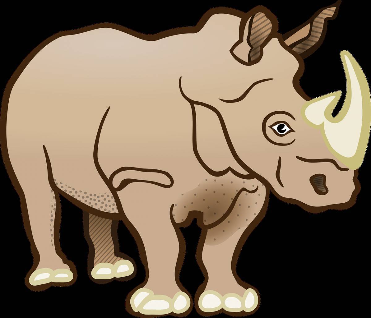 Носорог для детей #32