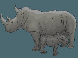 Раскраска носорог для детей #4 #121533