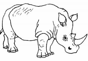 Раскраска носорог для детей #26 #121555