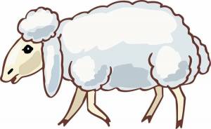 Раскраска овечка для детей #4 #122440