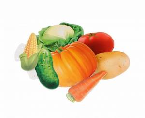 Раскраска овощи для детей #34 #122494