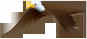Раскраска орел для детей #18 #123659