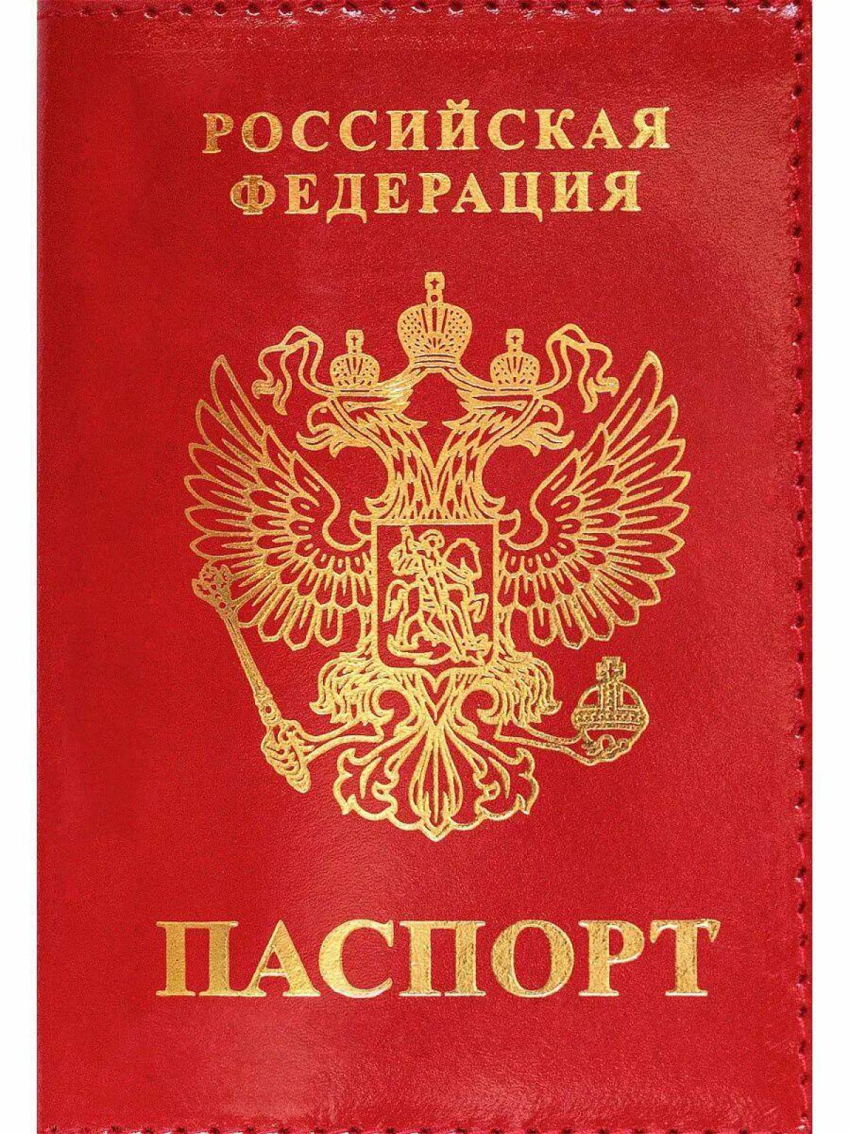 Паспорт #3