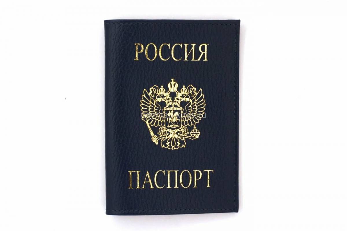 Паспорт #12