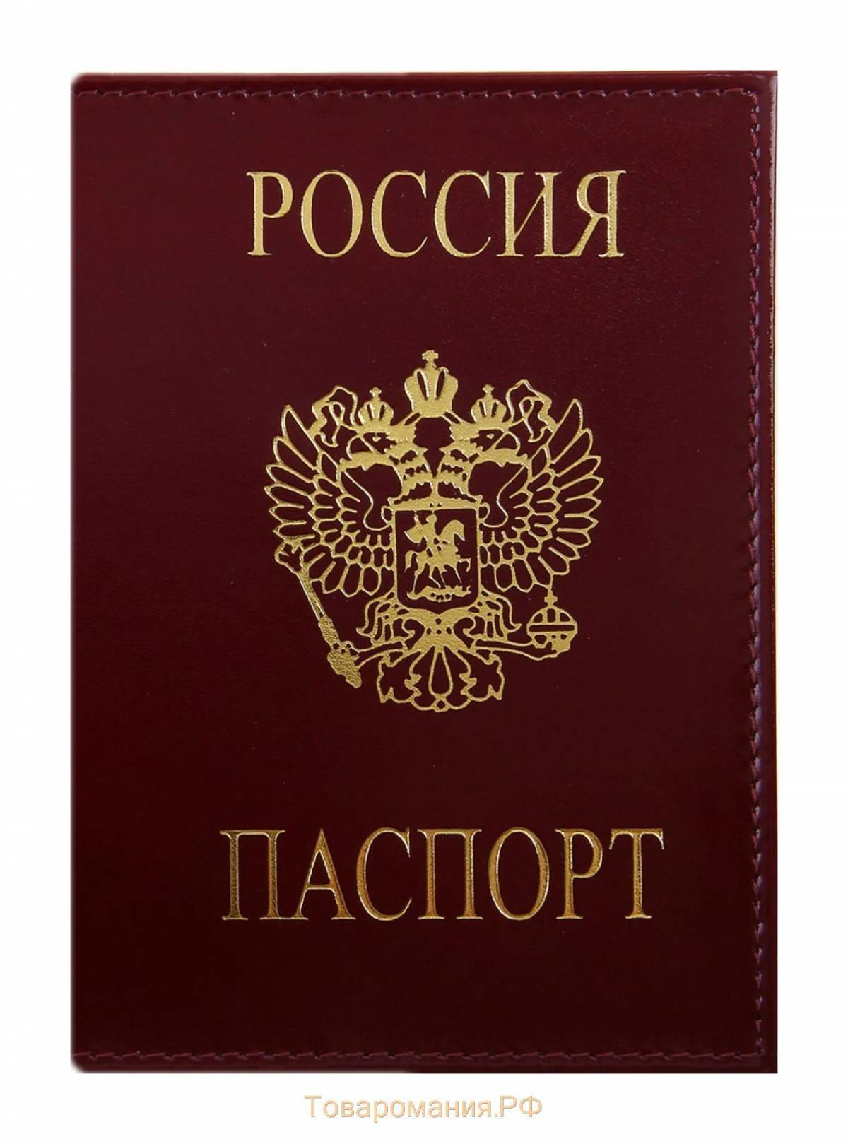 Паспорт #21