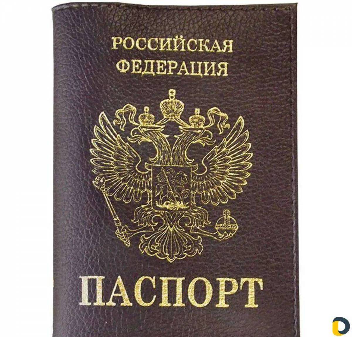 Паспорт #25