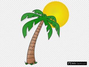 Раскраска пальма для детей #4 #124829