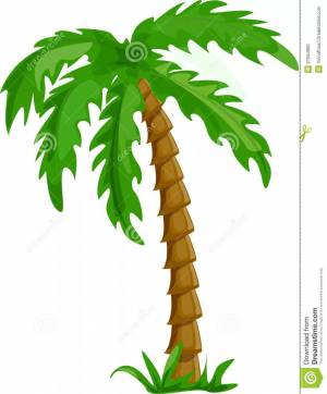 Раскраска пальма для детей #6 #124831