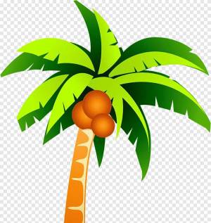 Раскраска пальма для детей #8 #124833