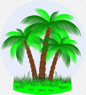 Раскраска пальма для детей #13 #124838