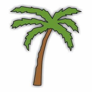 Раскраска пальма для детей #24 #124849