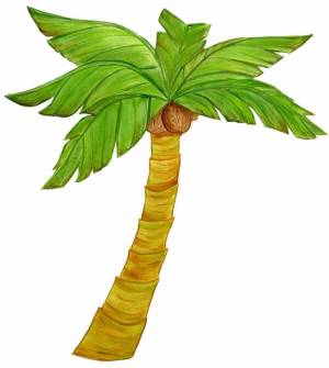 Раскраска пальма для детей #27 #124852