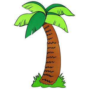 Раскраска пальма для детей #29 #124854