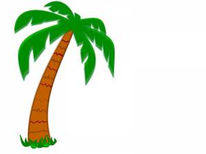Раскраска пальма для детей #32 #124857