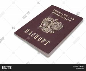 Раскраска паспорт #5 #125458