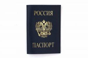 Раскраска паспорт #12 #125465