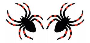 Раскраска паук для детей #5 #125668