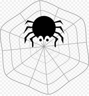 Раскраска паук для детей #6 #125669