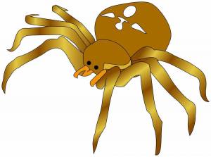 Раскраска паук для детей #8 #125671