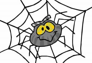 Раскраска паук для детей #27 #125690