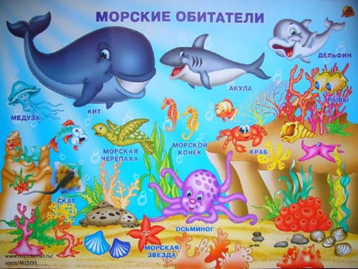 Подводный мир для детей #4