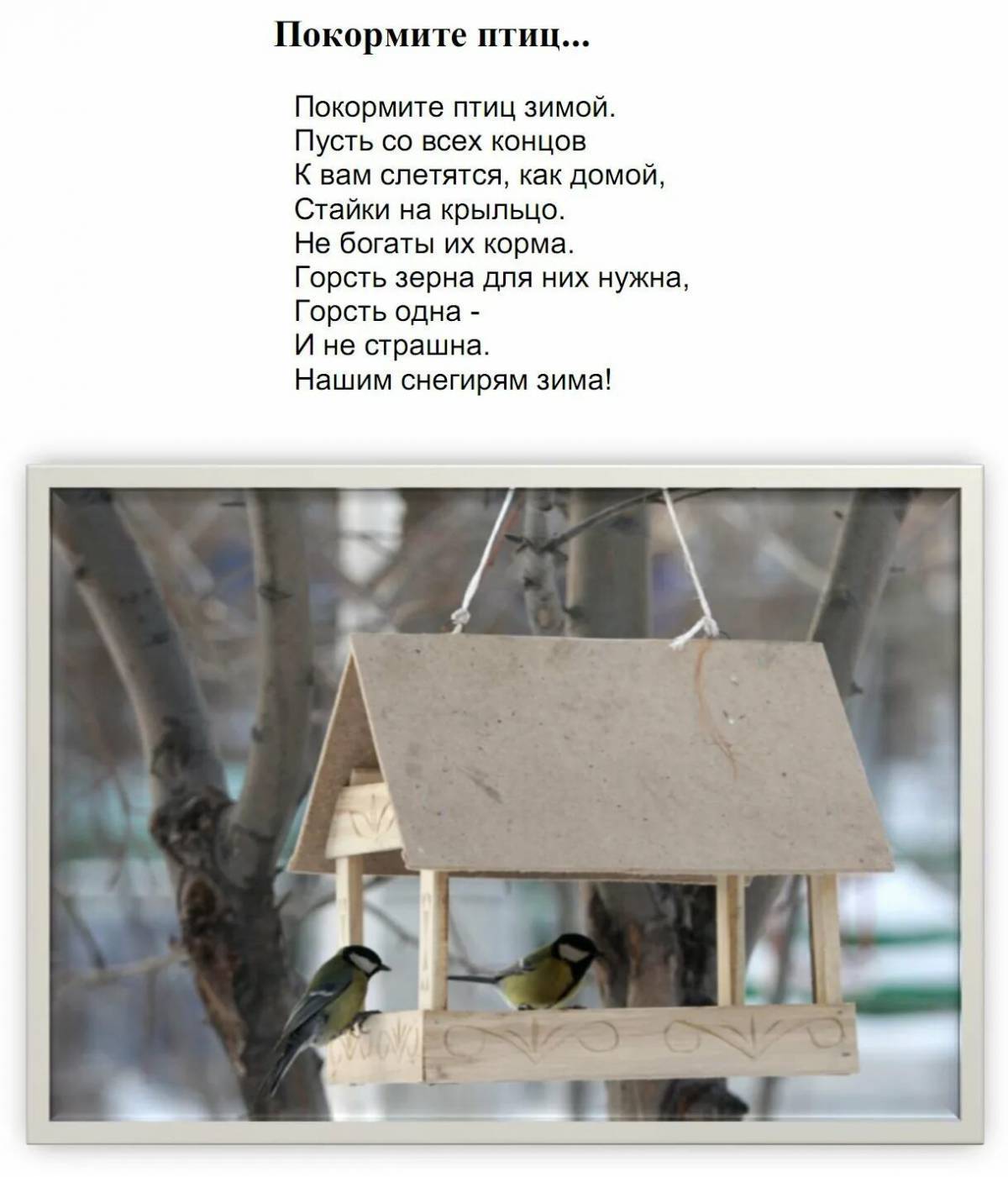 Покормите птиц зимой фон для презентации