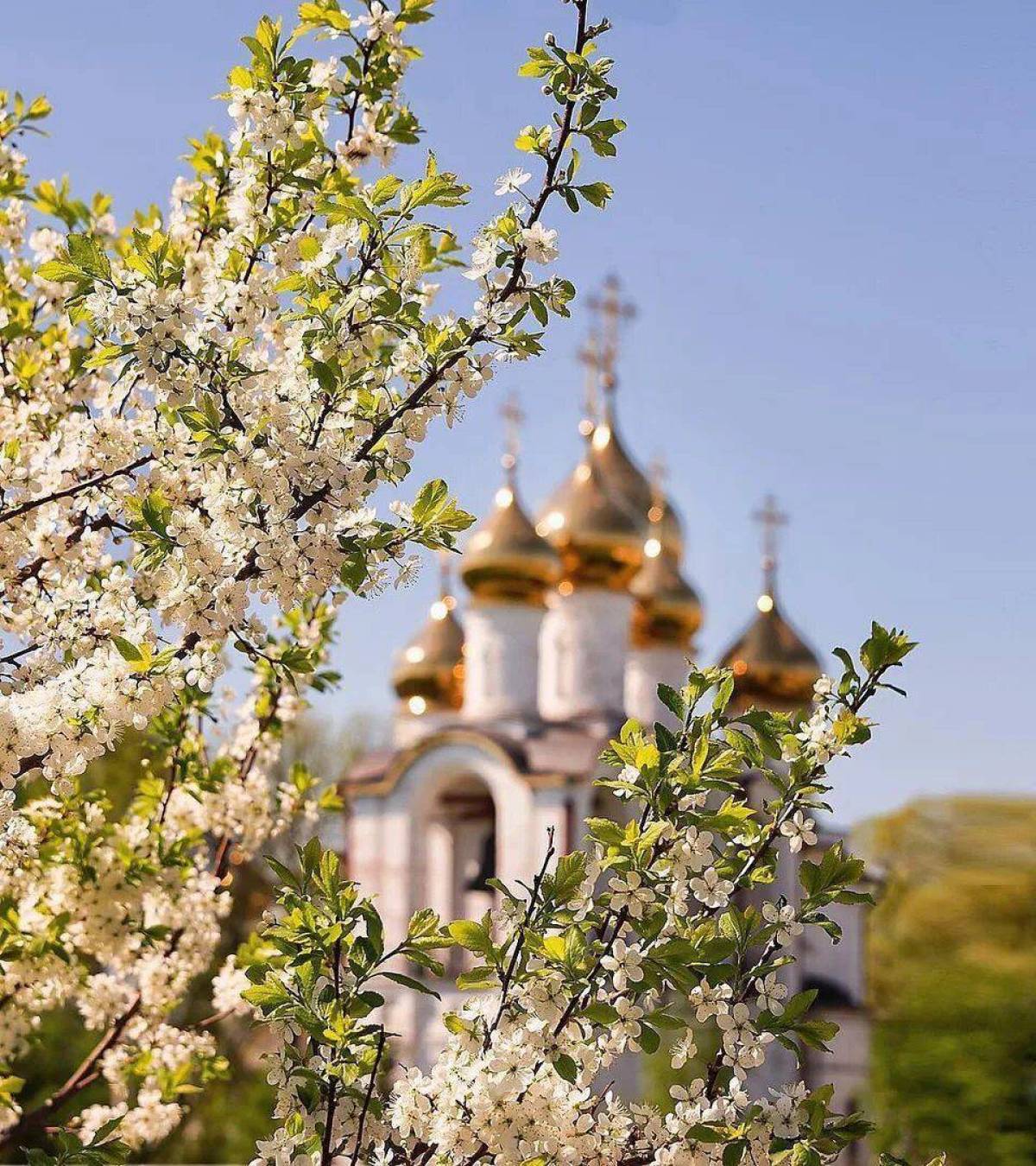 Церковные картинки. Храм Весна. Церковь весной. Православный храм весной. Храм в яблоневом цвету.