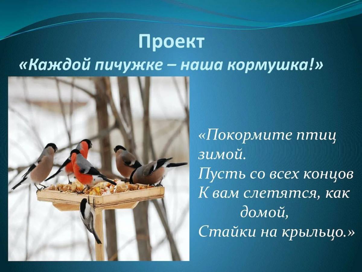 Покормите птиц зимой #27