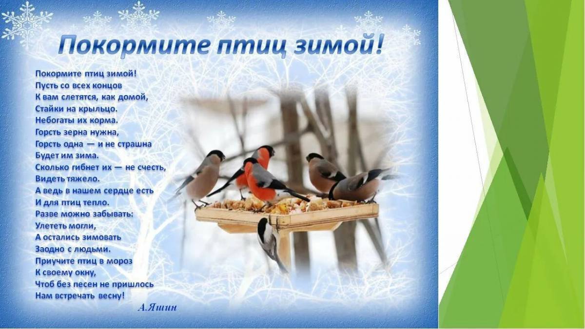 Покормите птиц зимой #34
