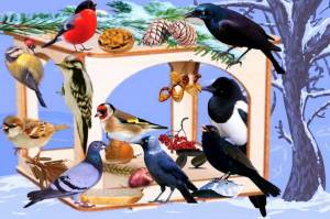 Раскраска покормите птиц зимой #1 #132459
