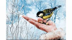 Раскраска покормите птиц зимой #5 #132463